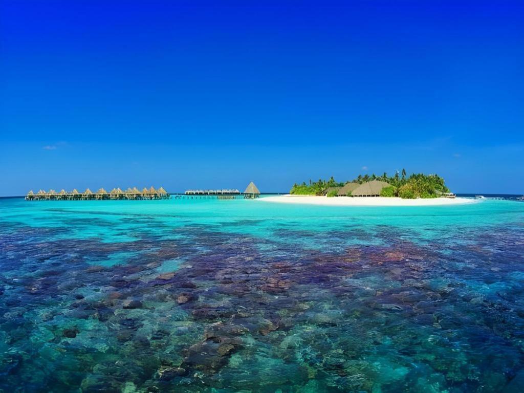 Angaga Island Resort And Spa Exterior photo